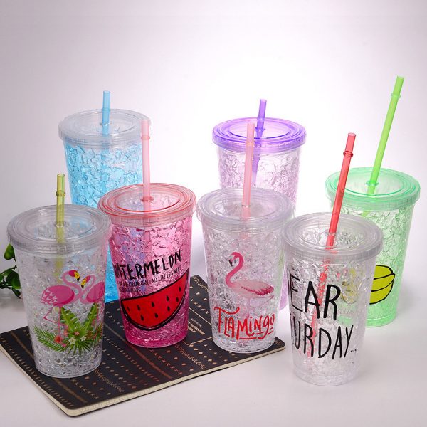 16oz Freeze mug double wall acrylic tumbler with straw