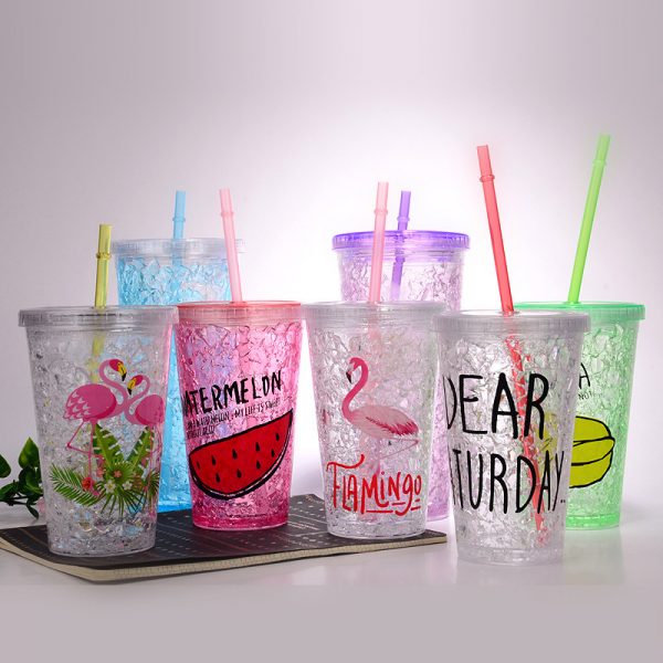 16oz Freeze mug double wall acrylic tumbler with straw