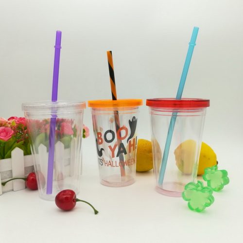 12oz double wall plastic tumbler with lid and straw