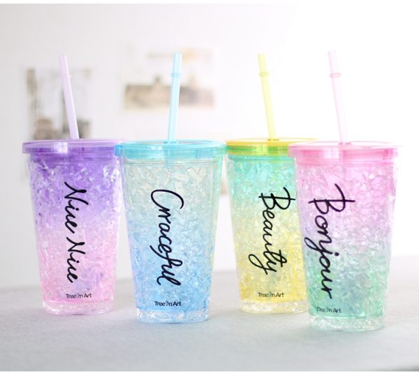 16oz Freeze mug double wall acrylic tumbler with straw