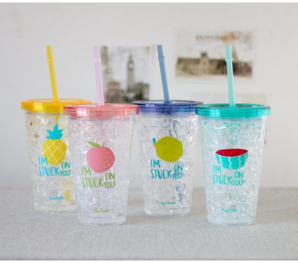 16oz Freeze mug double wall acrylic tumbler with straw