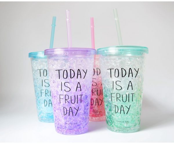 16oz Freeze mug double wall acrylic tumbler with straw