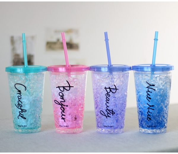 16oz Freeze mug double wall acrylic tumbler with straw